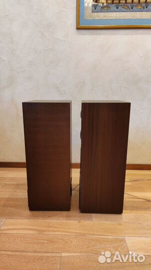 Колонки радиотехника s90