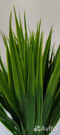 Компоцизия Искуственная трава (осока)