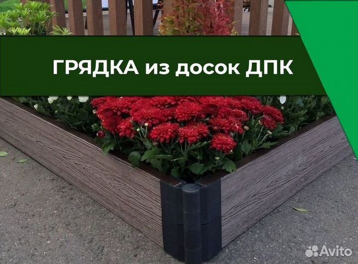Дпк грядка