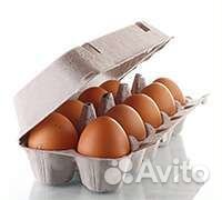 Ячейки для яиц картон