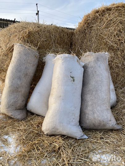 Солома сено в мешках