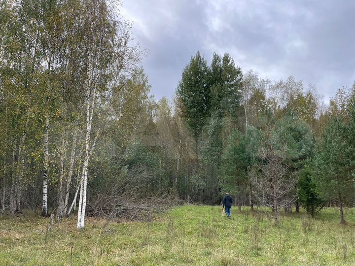 Участок 20 сот. (СНТ, ДНП)