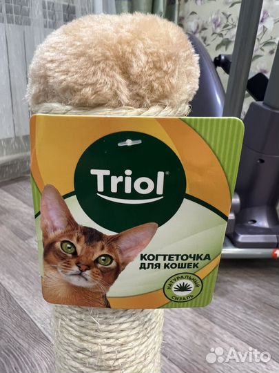 Когтеточка