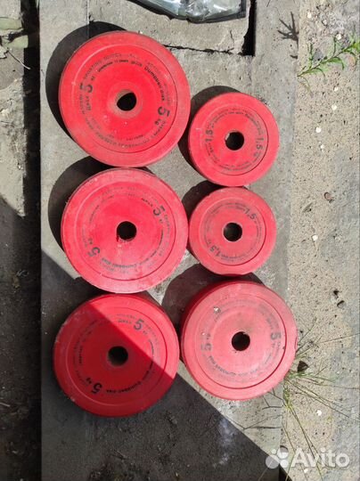 Гантеля разборная