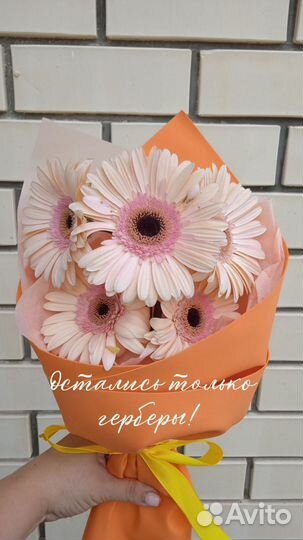 Букет герберы 1 сентября