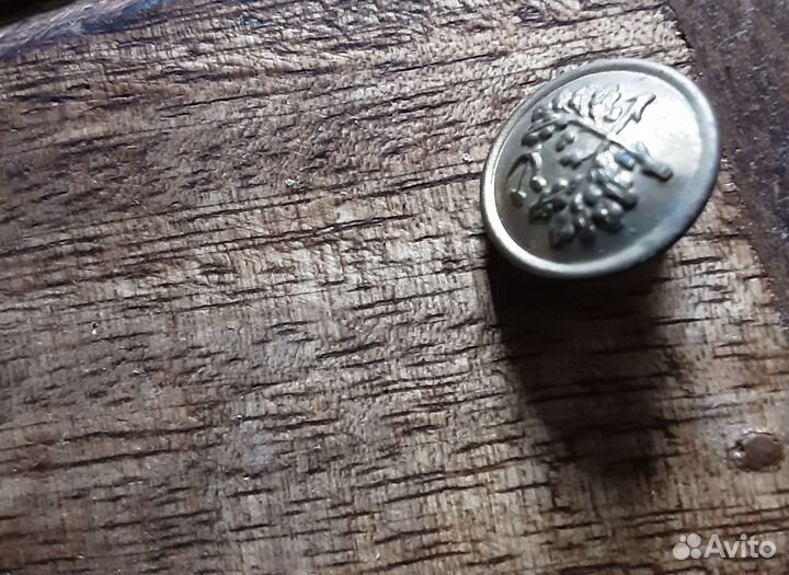 Пуговка