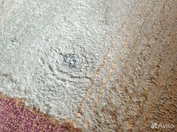 Ковер(Egypt) 2/2,85