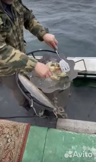 Морская рыбалка