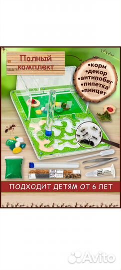 Муравьиная ферма с муравьями