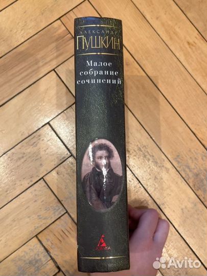 Пушкин книги