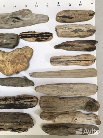 Дрифтвуд набор