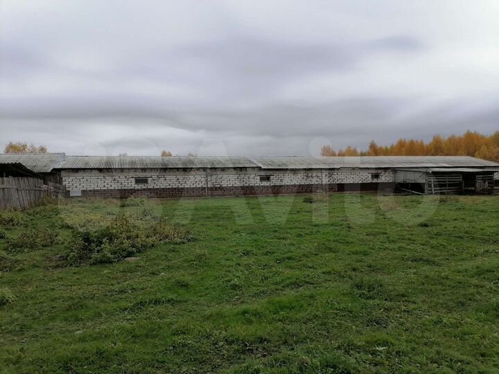 Свободного назначения, 632 м²