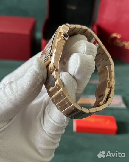 Часы Cartier Santos wgsa0018 Santos de Cartier Lar