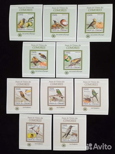 Коморы чистые блоки-птицы