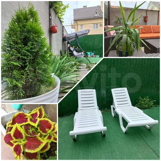 Комната 16 м² в 7-к., 3/3 эт.