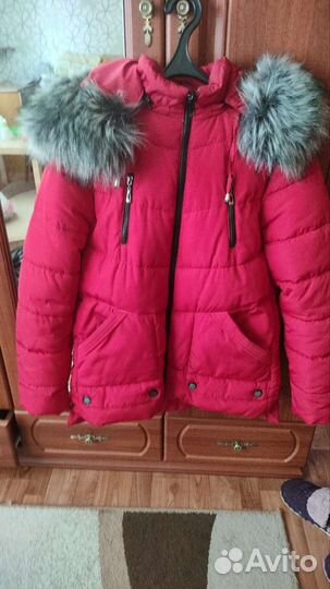 Зимняя куртка и демисезонн бесплатно