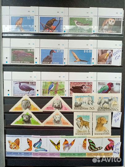 Серии марок флора,фауна,собаки,рыбы,птицы