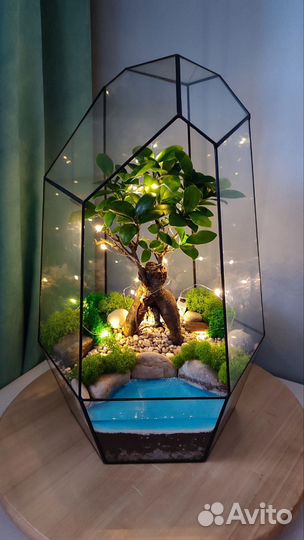 Флорариум Бонсай