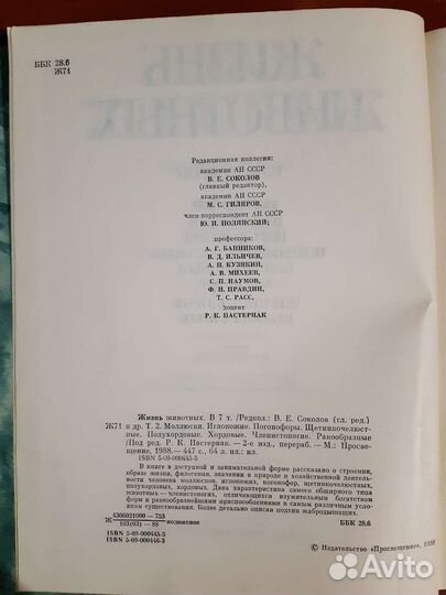 Жизнь животных