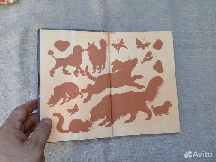 P.A. Хасанoва. Дeкорaтивное собаковoдcтвo. Heобычн