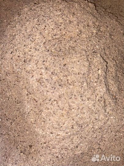 Зерноотходы отруби