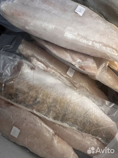 Филе судака волжского