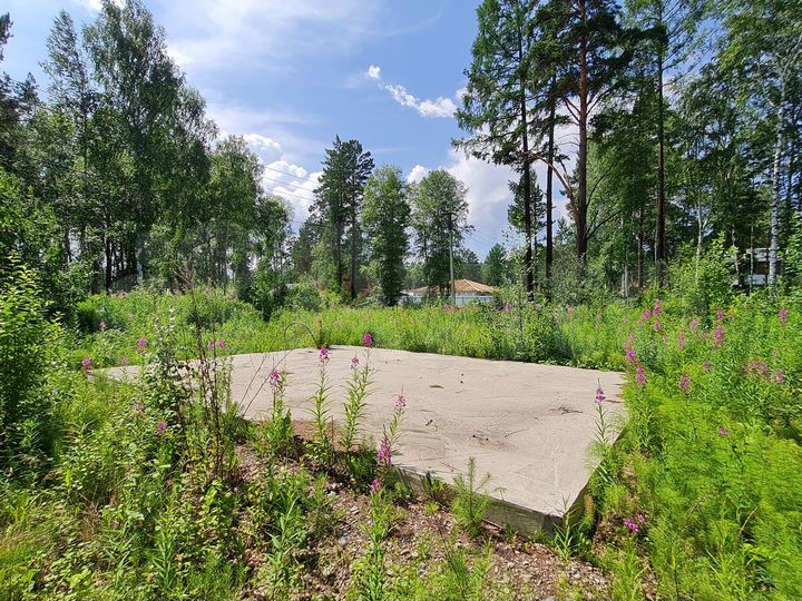 Участок 20 сот. (СНТ, ДНП)