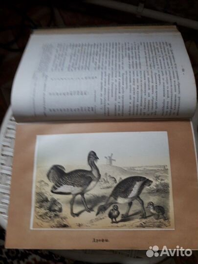 Продам книгу