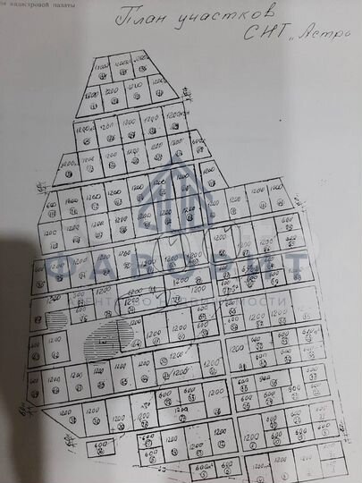 Участок 12 сот. (СНТ, ДНП)