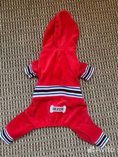 Одежда для маленьких собак