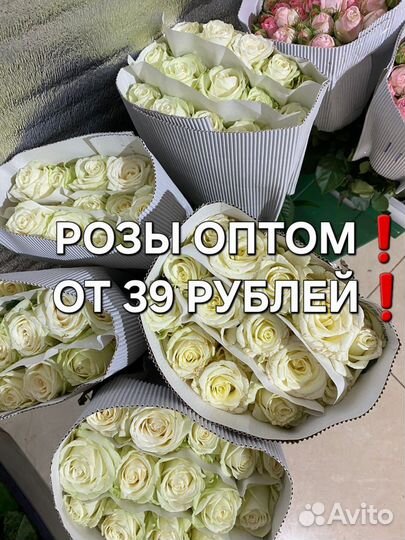 Розы опт Орёл