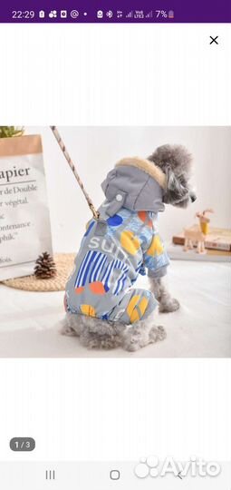 Одежда для маленьких собак