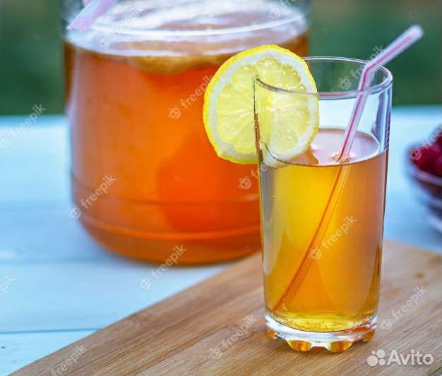 Чайный гриб - Комбуча