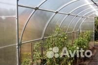 Теплицы оптом с завода