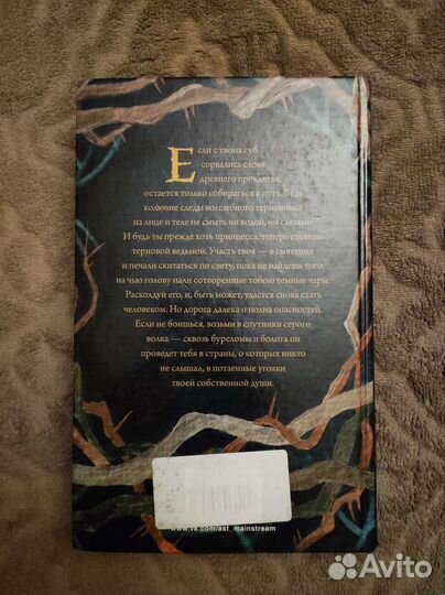 Книги: Игра в бисер, Терновая ведьма Изольда