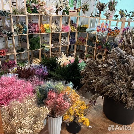 Стабилизированные растения/Сухоцветы