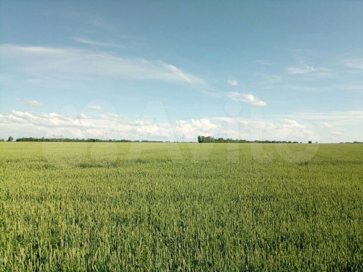 Участок 5 га (СНТ, ДНП)