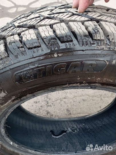 Tigar Winter 205/65 R16 95H