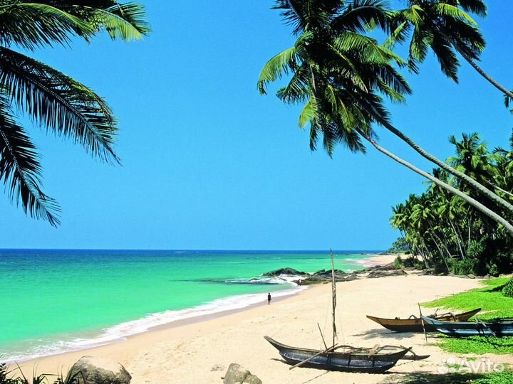 Горящие туры. Мальдивы, Куба, Шри-Ланка, Вьетнам