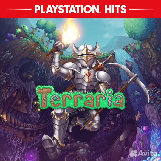 Terraria PS4 & PS5