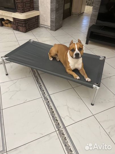 Лежанка для собак