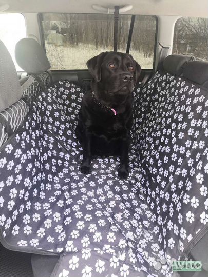 Автогамак для собак