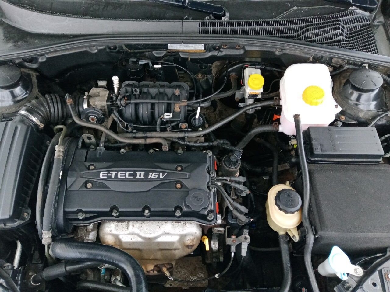Chevrolet Lacetti: фото владельца