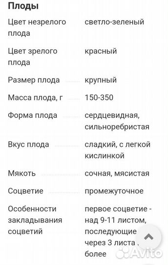 Семена томатов Буденовка