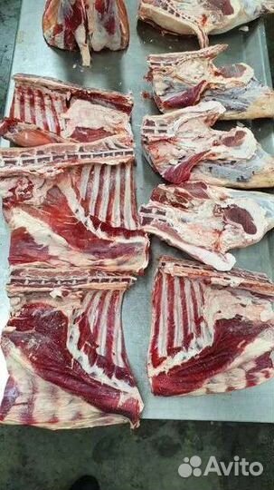 Мясо баранины Халяль(курдючные)