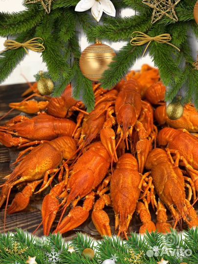 Раки живые и вареные