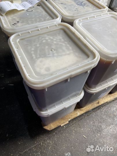 Эспарцетовый мёд. Качка 2023 г. Оптом