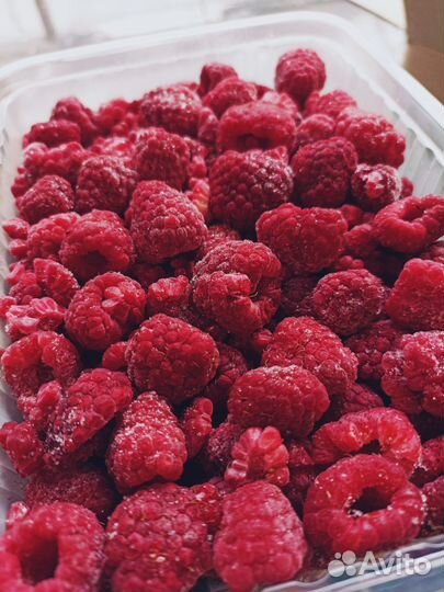 Замороженные ягоды. Замороженные манго