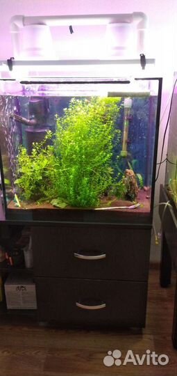 Аквариумы 50, 100 литров
