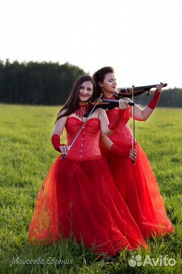 Музыканты, скрипка, скрипичный дуэт